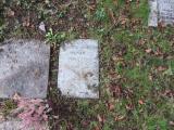 image of grave number 485174